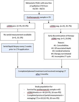 Prediction of response to systemic treatment by kinetics of circulating tumor DNA in metastatic pancreatic cancer